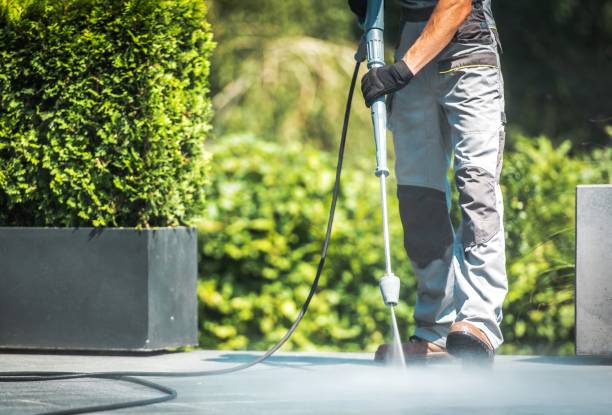 Best Driveway Pressure Washing  in Torrance, CA