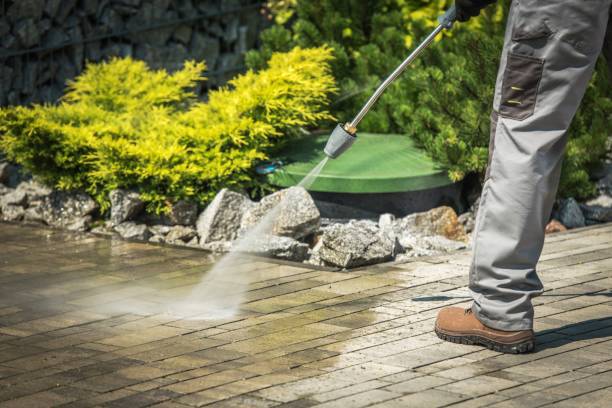 Best Boat and Dock Cleaning  in Torrance, CA