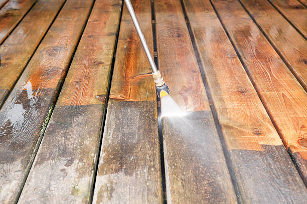 Best Dumpster Area Cleaning  in Torrance, CA